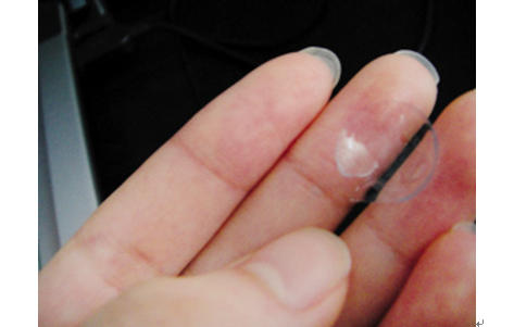 1-260403154313520.jpg 1-260403154313520.jpg